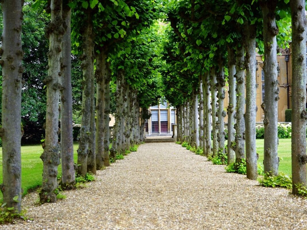 Apartman çevre düzenlemesi, hem estetik hem de işlevsel açıdan önemli bir konudur.